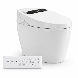 Inodoro japonés eQiik con su mando